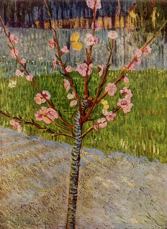 Wer war Anna Carbentus van Gogh? Die Mutter hinter dem Künstler