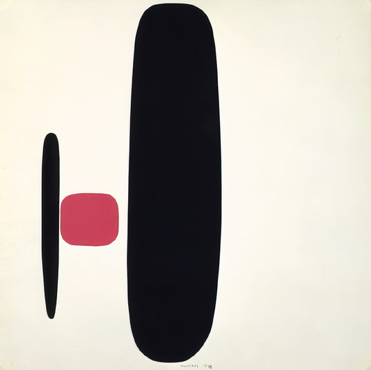 Wer war Bruno Munari und was ist das Supplemento Dizionario?