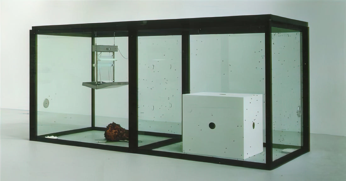 Damien Hirst Kunstwerke kaufen: Ein Leitfaden für Sammler