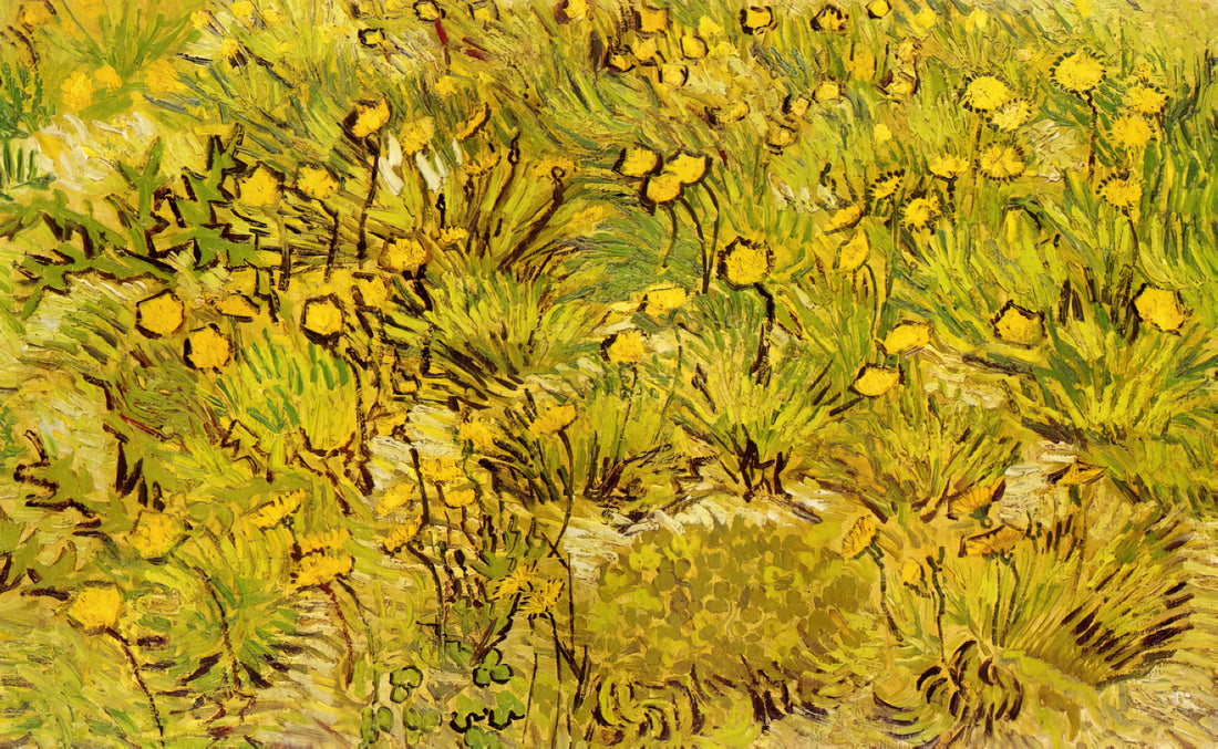 Wer war Vincent van Gogh? Ein Blick auf das Leben und Werk des berühmten Künstlers