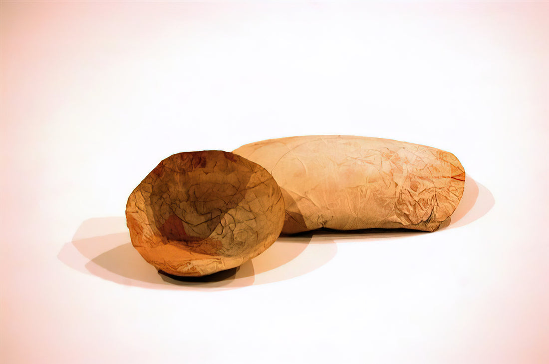 Warum sind Eva Hesse Kunstwerke so einzigartig?