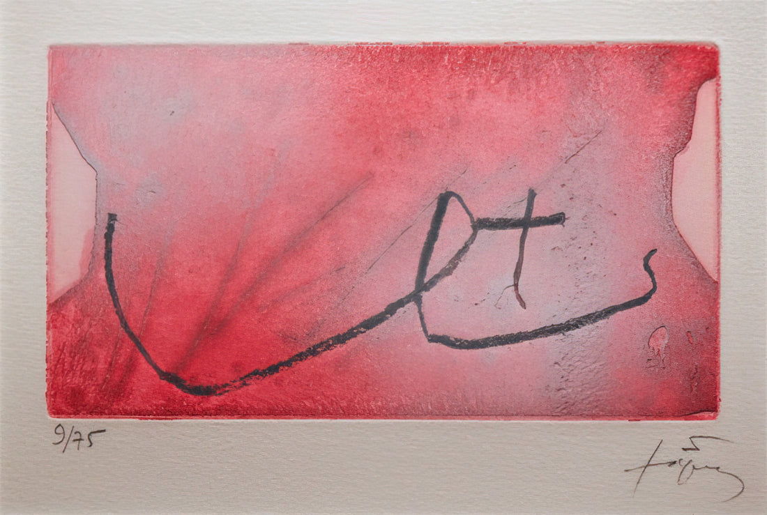 Was ist die Fundació Antoni Tàpies und warum ist sie wichtig?