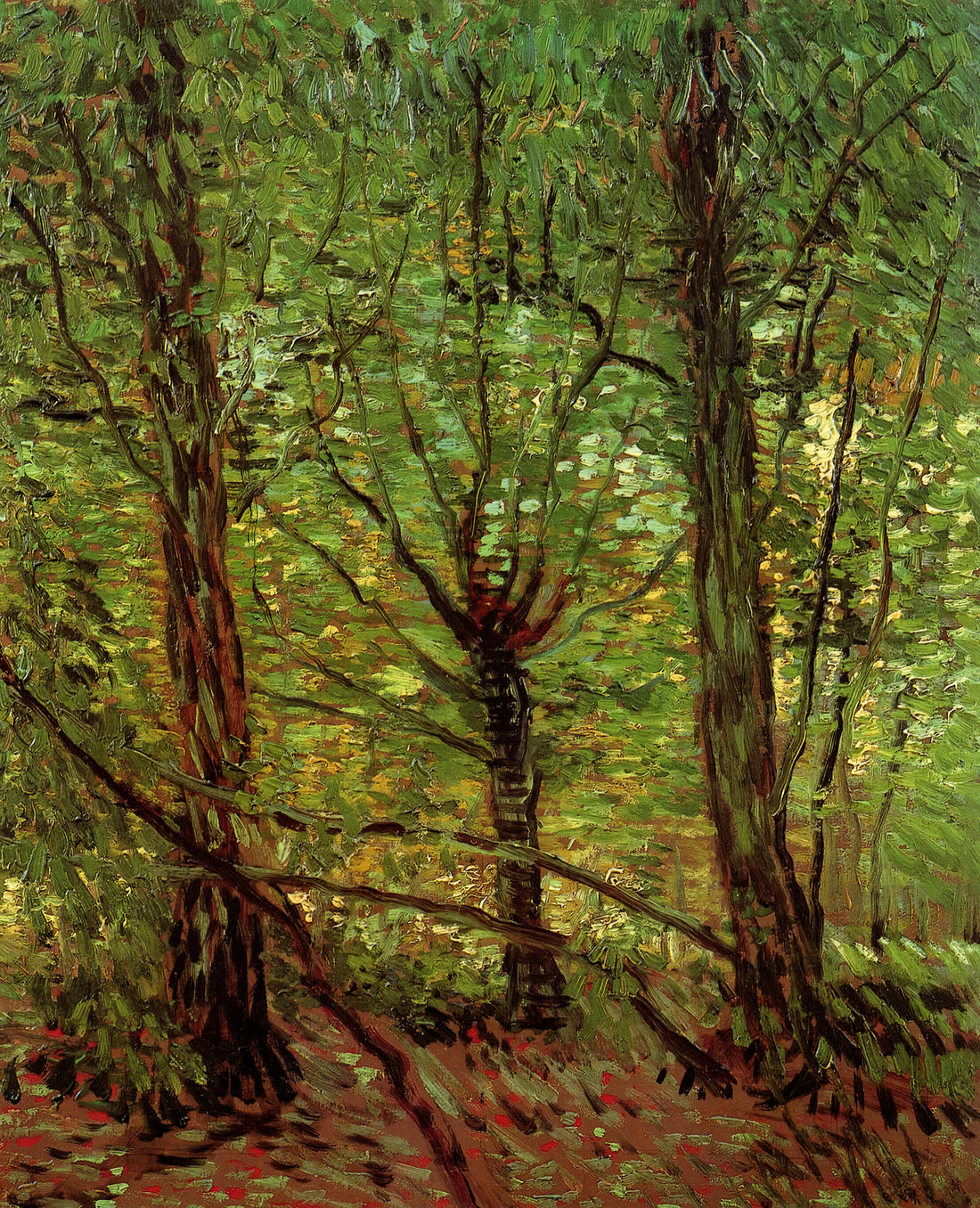 Warum ist Van Goghs Kunst im Kampf gegen die Klimakrise relevant?