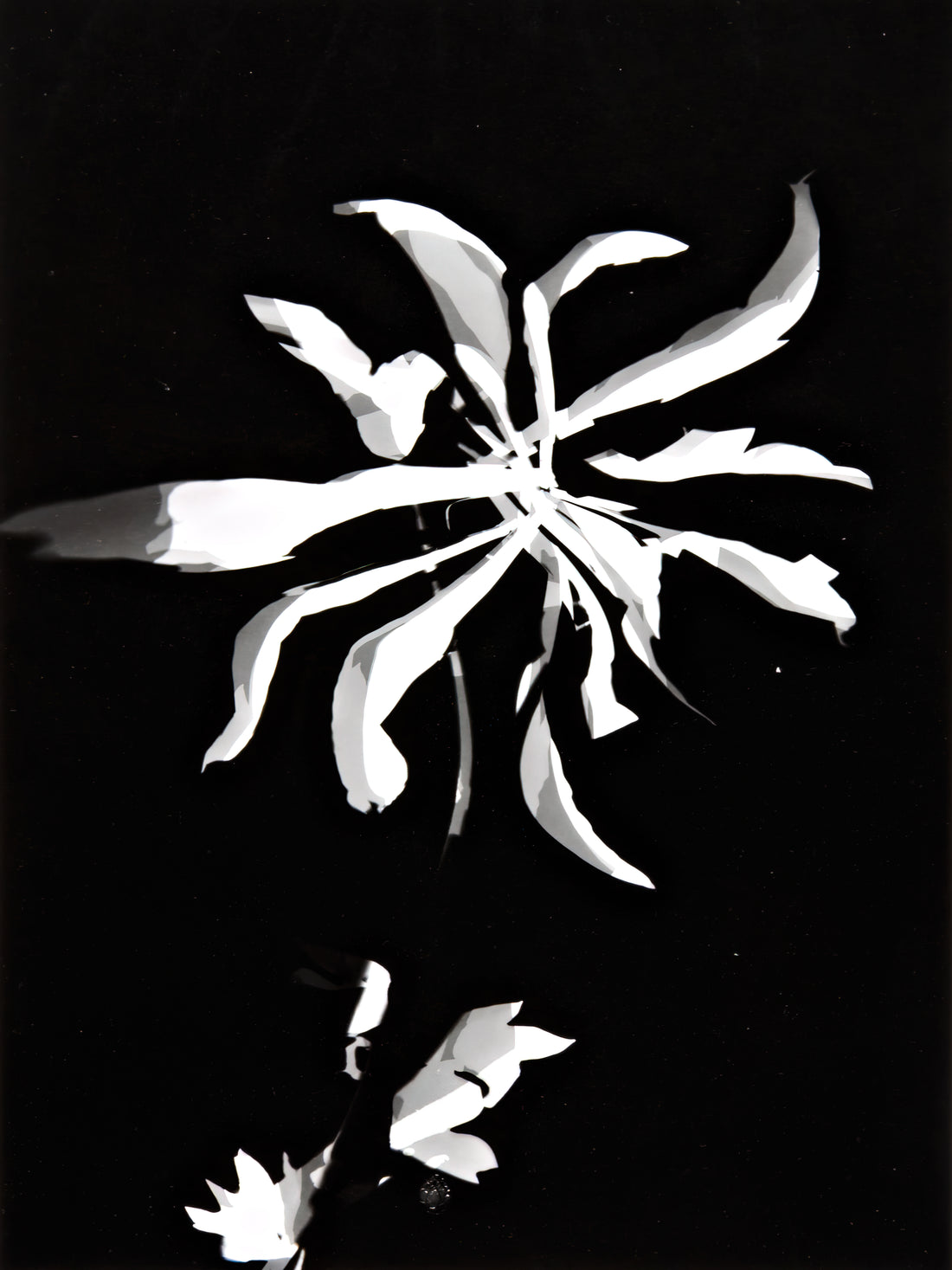 Wer war László Moholy-Nagy und seine Verbindung zum Bauhaus?