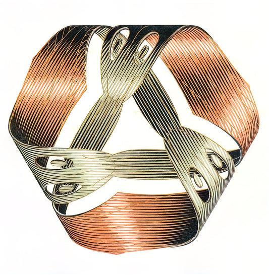 What Does Escher’s Möbius Strip with Ants Really Mean?