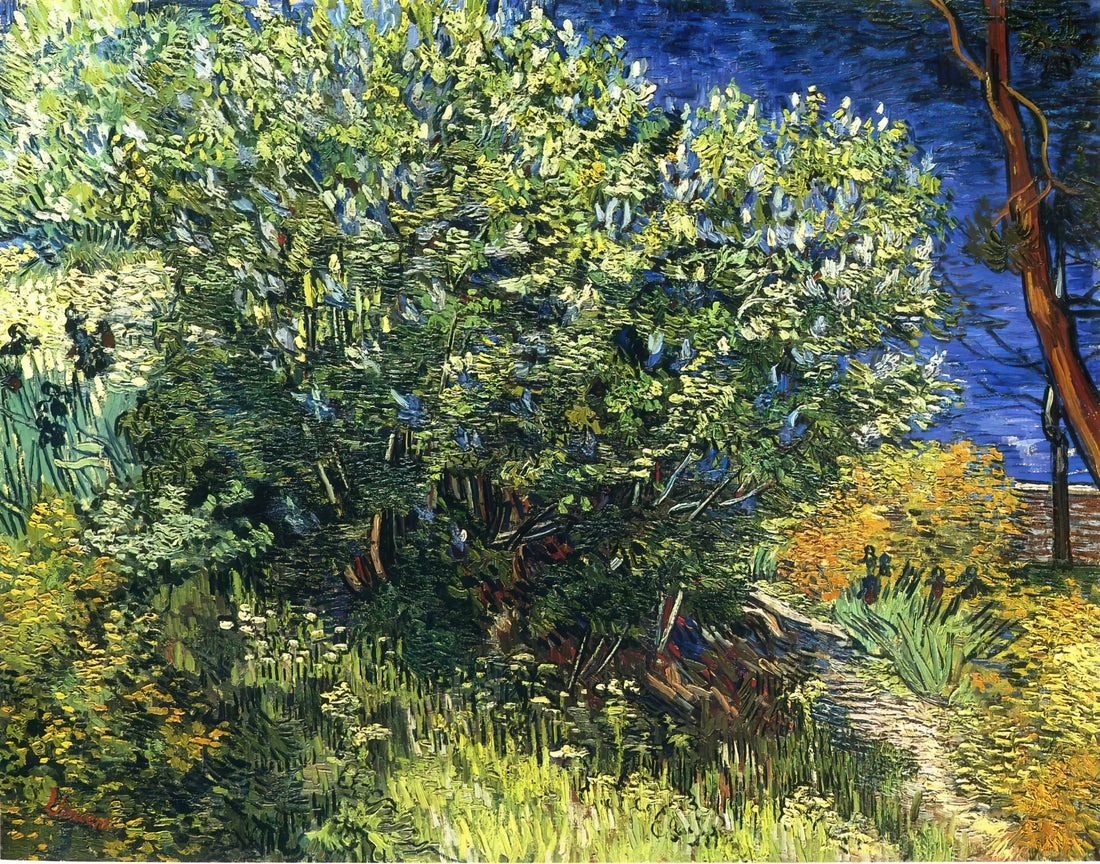 Was macht Vincent van Goghs Mohnfeld so besonders?
