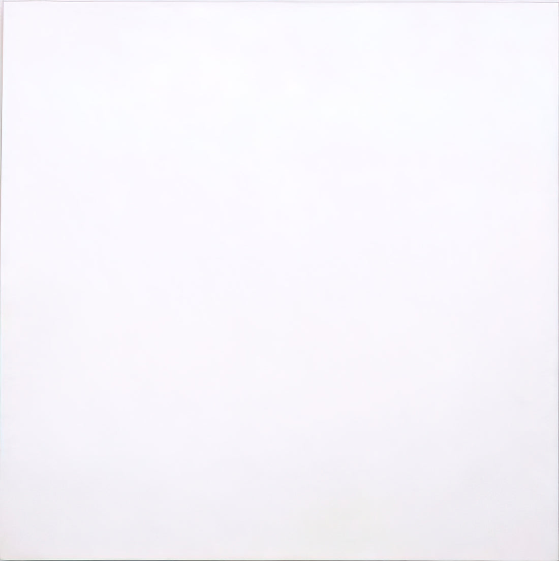 What Are Robert Rauschenberg’s White Paintings? Decoding the Minimalist Masterpieces