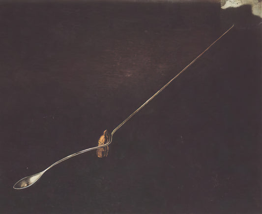 Warum sind Salvador Dalí Kunstdrucke eine zeitlose Bereicherung für jede Kunstsammlung?