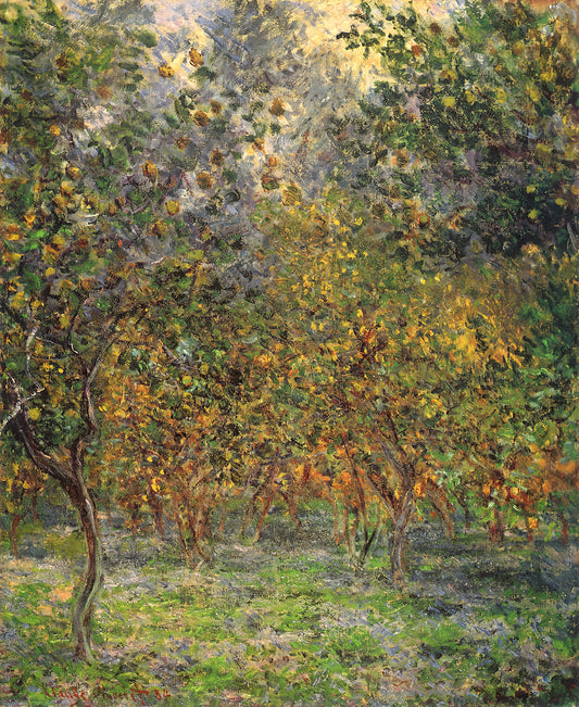 Was macht Claude Monets Seerosenbilder so besonders?