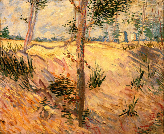 Warum sind Van Goghs Sonnenblumen so berühmt?