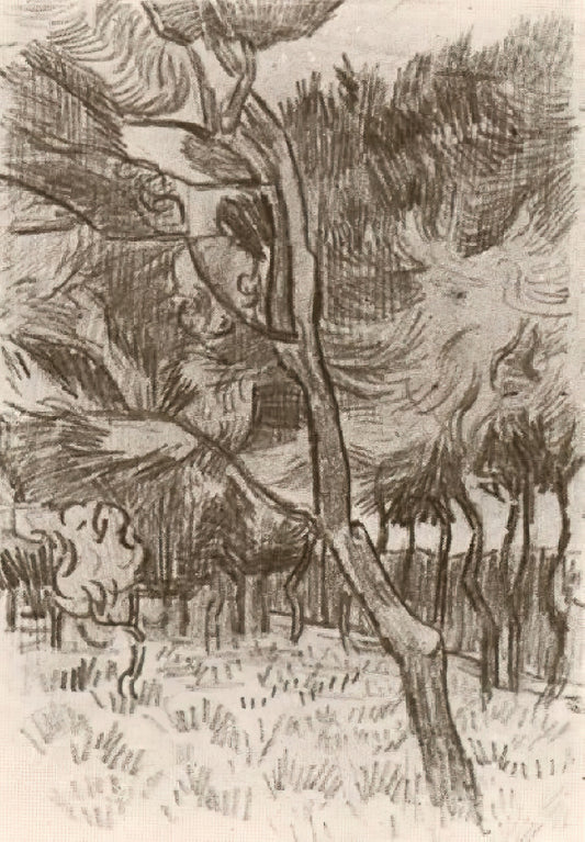 Vincent van Gogh: Ein tiefer Einblick in das Leben und Werk des Meisters