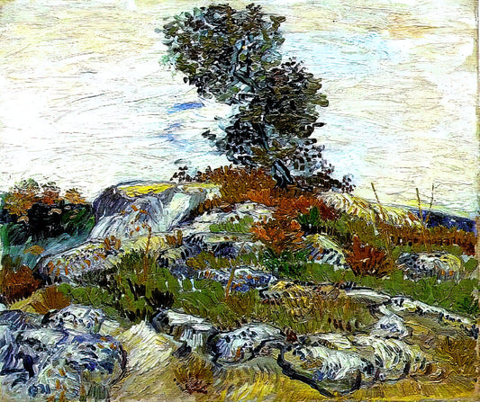 Vincent van Gogh: Ein Meisterwerk der Natur durch die Linse von National Geographic
