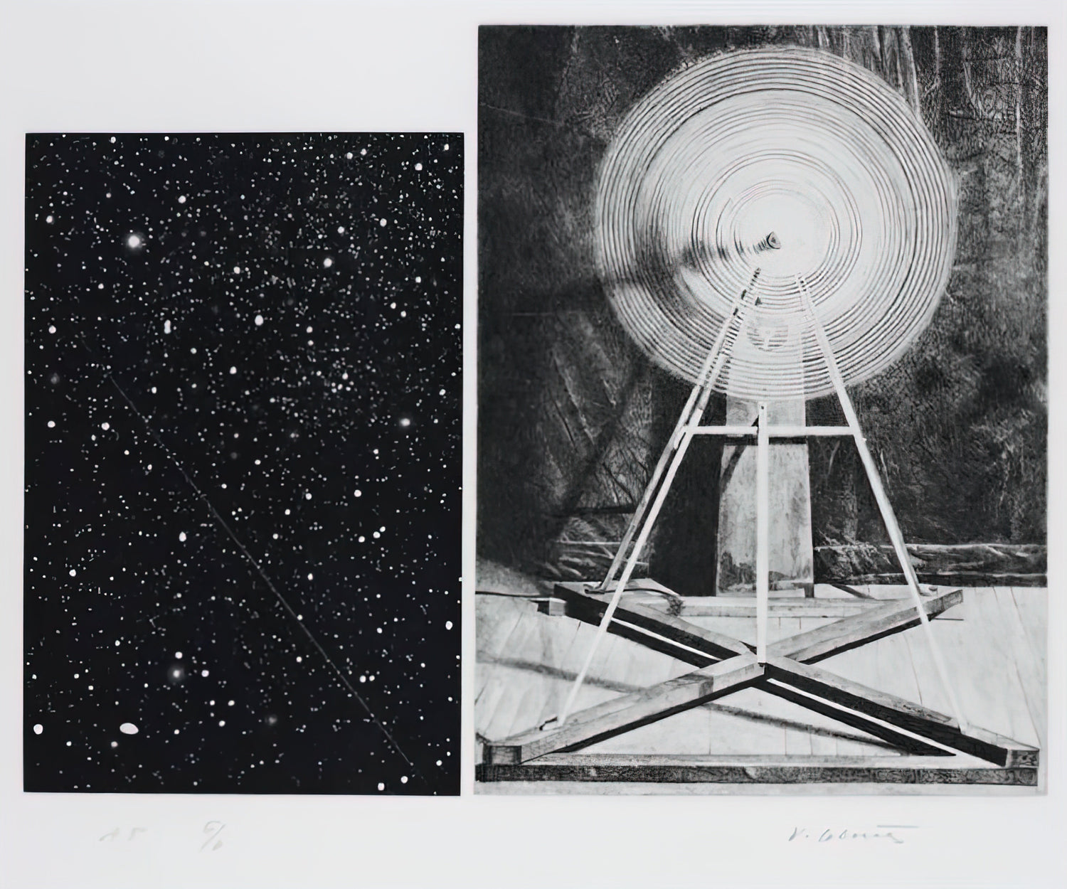 Vija Celmins Poster Collection