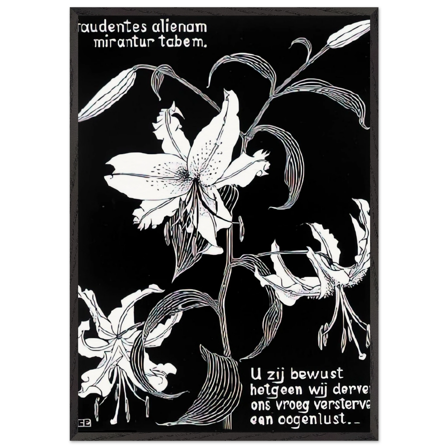 Flowers N2 - MC Escher 70x100 cm / 28x40 inches Framed Art Print – Black Wooden Frame | Maurits Cornelis Escher Prints