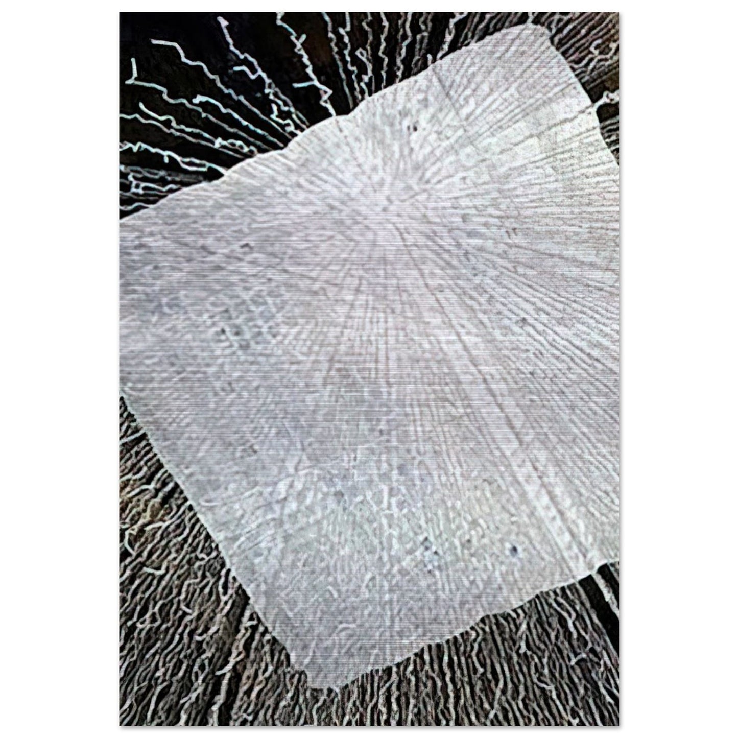 CLOUD SERIES V 1978 - Lenore Tawney Brushed Aluminum Print - 70x100 cm / 28x40 inches | Lenore Tawney Aluminum Print | Lenore Tawney Prints