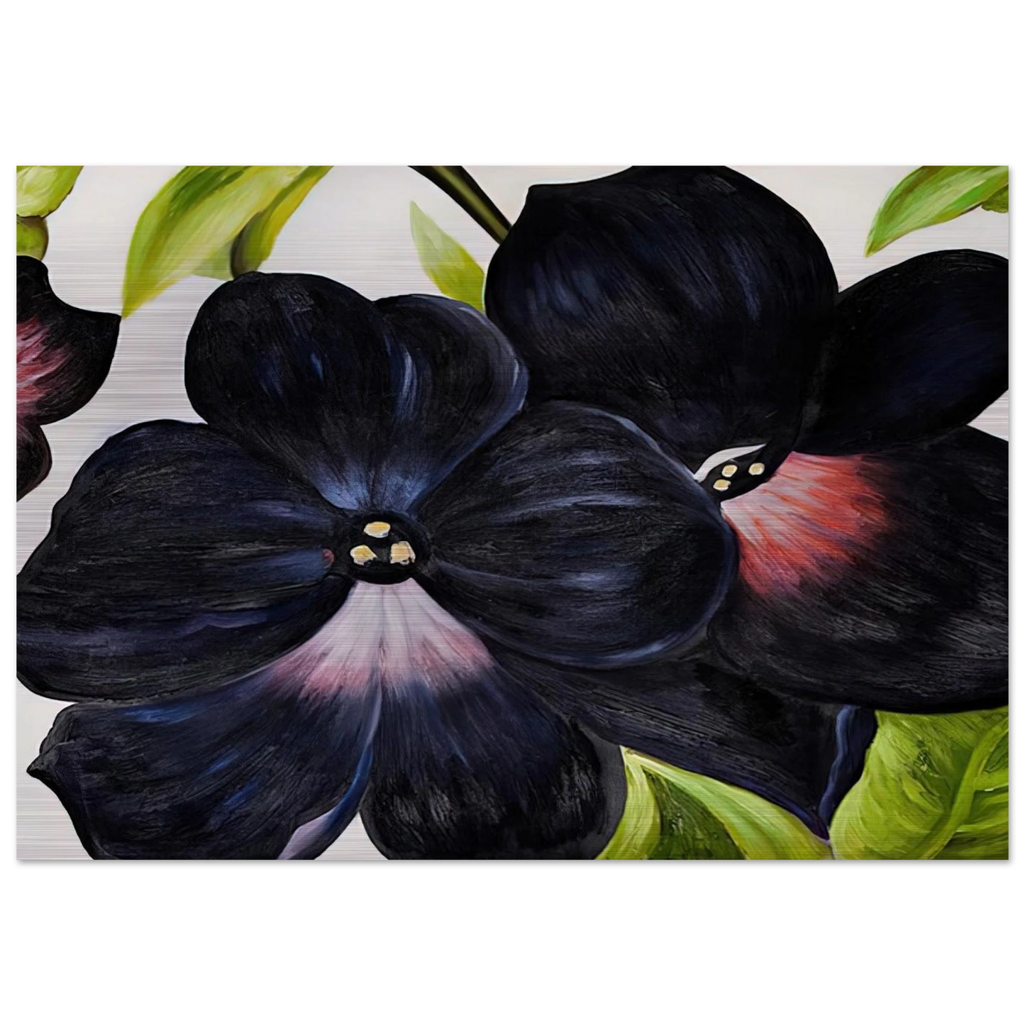 Black and Purple Petunias - Georgia O'Keeffe Brushed Aluminum Print - 70x100 cm / 28x40 inches | Georgia O'Keeffe Aluminum Print | Georgia O'Keeffe Prints