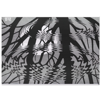 RIPPLED SURFACE - MC Escher Brushed Aluminum Print - 70x100 cm / 28x40 inches | MC Escher Aluminum Print | MC Escher Prints