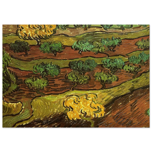 Olive Trees against a Slope of a Hill - Vincent van Gogh Brushed Aluminum Print - 70x100 cm / 28x40 inches | Vincent van Gogh Aluminum Print | Vincent van Gogh Prints