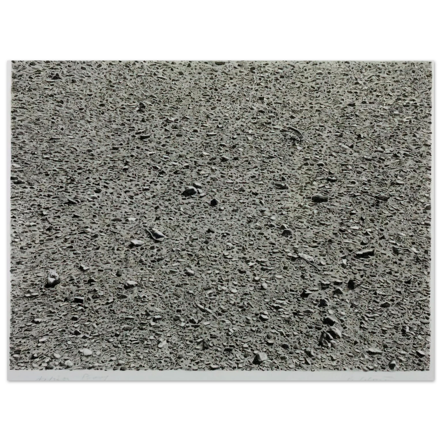 Vija Celmins - DESERT 1975  75x100 cm / 30x40inches Fine Art Poster