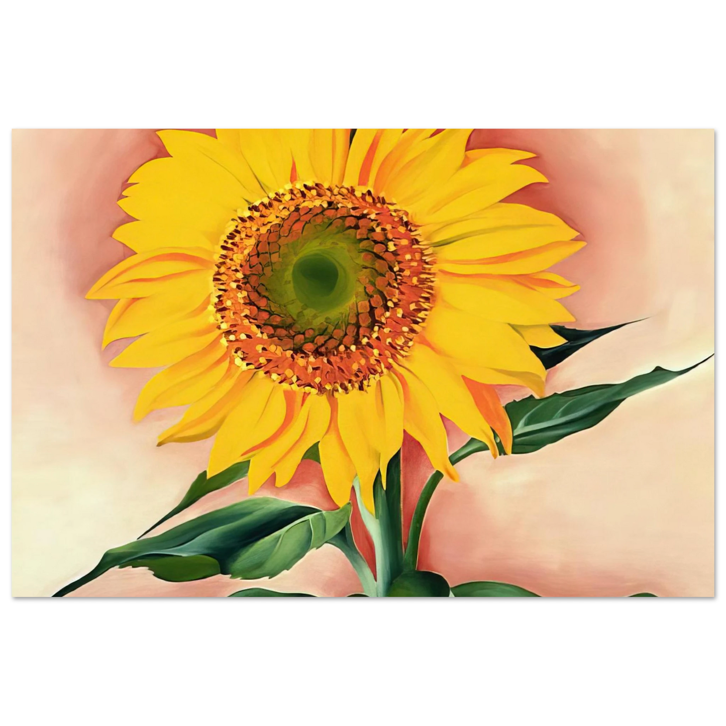 Georgia O'Keeffe - A Sunflower from Maggie Fine Art Poster