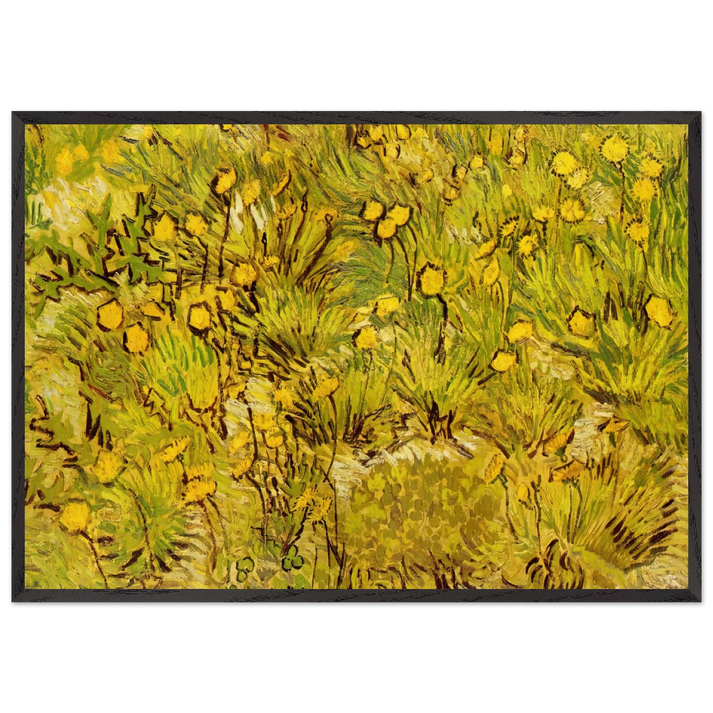 A Field of Yellow Flowers - Vincent van Gogh 70x100 cm / 28x40 inches Framed Art Print – Black Wooden Frame