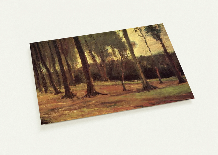 Edge of a Wood By Vincent van Gogh Pack of 10 Post Cards | Vincent van Gogh Post Cards | A6 (10.5 x 14.8 cm) - 4.1 x 5.8 inches