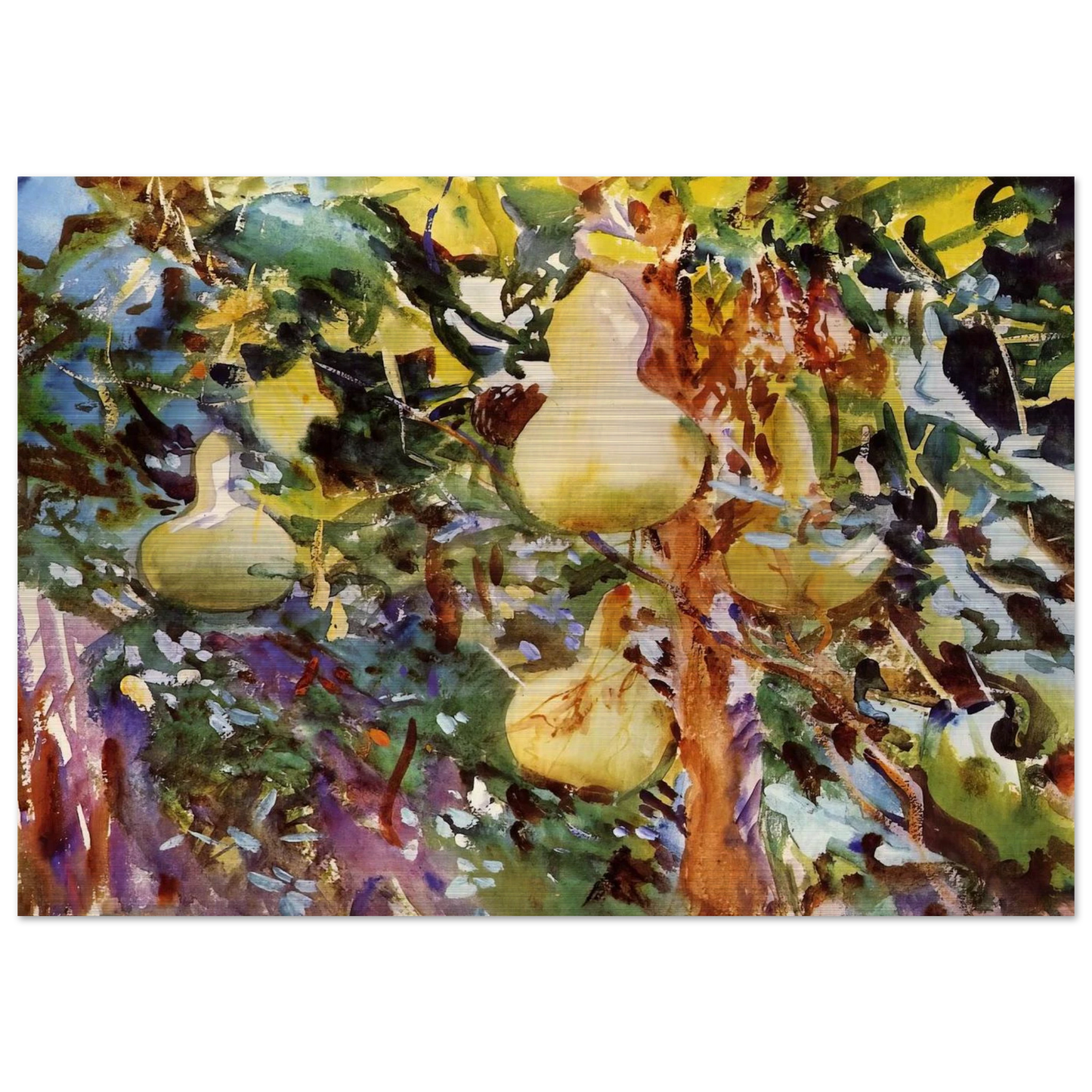 Gourds - John Singer Sargent Brushed Aluminum Print - 70x100 cm / 28x40 inches | John Singer Sargent Aluminum Print | John Singer Sargent Prints