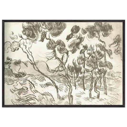 A Group of Pine Trees near a House - Vincent van Gogh 70x100 cm / 28x40 inches Framed Art Print – Black Wooden Frame