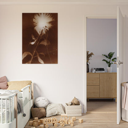 Untitled [flower] - Laszlo Moholy-Nagy Brushed Aluminum Print - 70x100 cm / 28x40 inches | Laszlo Moholy-Nagy Aluminum Print | Laszlo Moholy-Nagy Prints