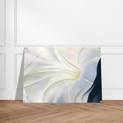 Morning Glory with Black - Georgia O'Keeffe Acrylic Print - 70x100 cm / 28x40″ inches | Georgia O'Keeffe Wall Art | Georgia O'Keeffe Prints