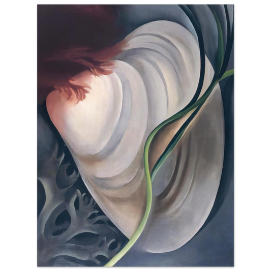 Georgia O'Keeffe - Shell No 2 Fine Art Poster