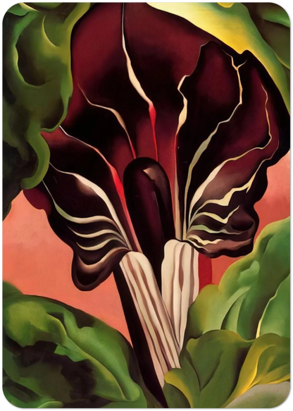 Jack-in-the-Pulpit II By Georgia O'Keeffe Pack of 10 Post Cards | Georgia O'Keeffe Post Cards | A6 (10.5 x 14.8 cm) - 4.1 x 5.8 inches