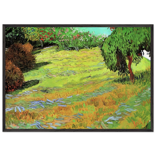Sunny Lawn in a Public Park - Vincent van Gogh 70x100 cm / 28x40 inches Framed Art Print – Black Wooden Frame