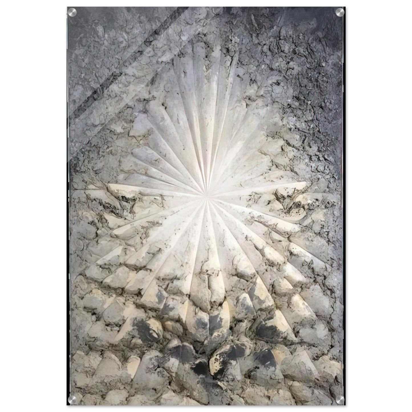 Jay DeFeo/BIG/The Rose - Jay DeFeo Acrylic Print - 70x100 cm / 28x40″ inches
