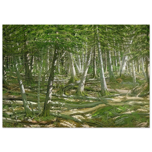 Old Windfall - 1982 - Neil Welliver Brushed Aluminum Print - 70x100 cm / 28x40 inches | Neil Welliver Aluminum Print | Neil Welliver Prints