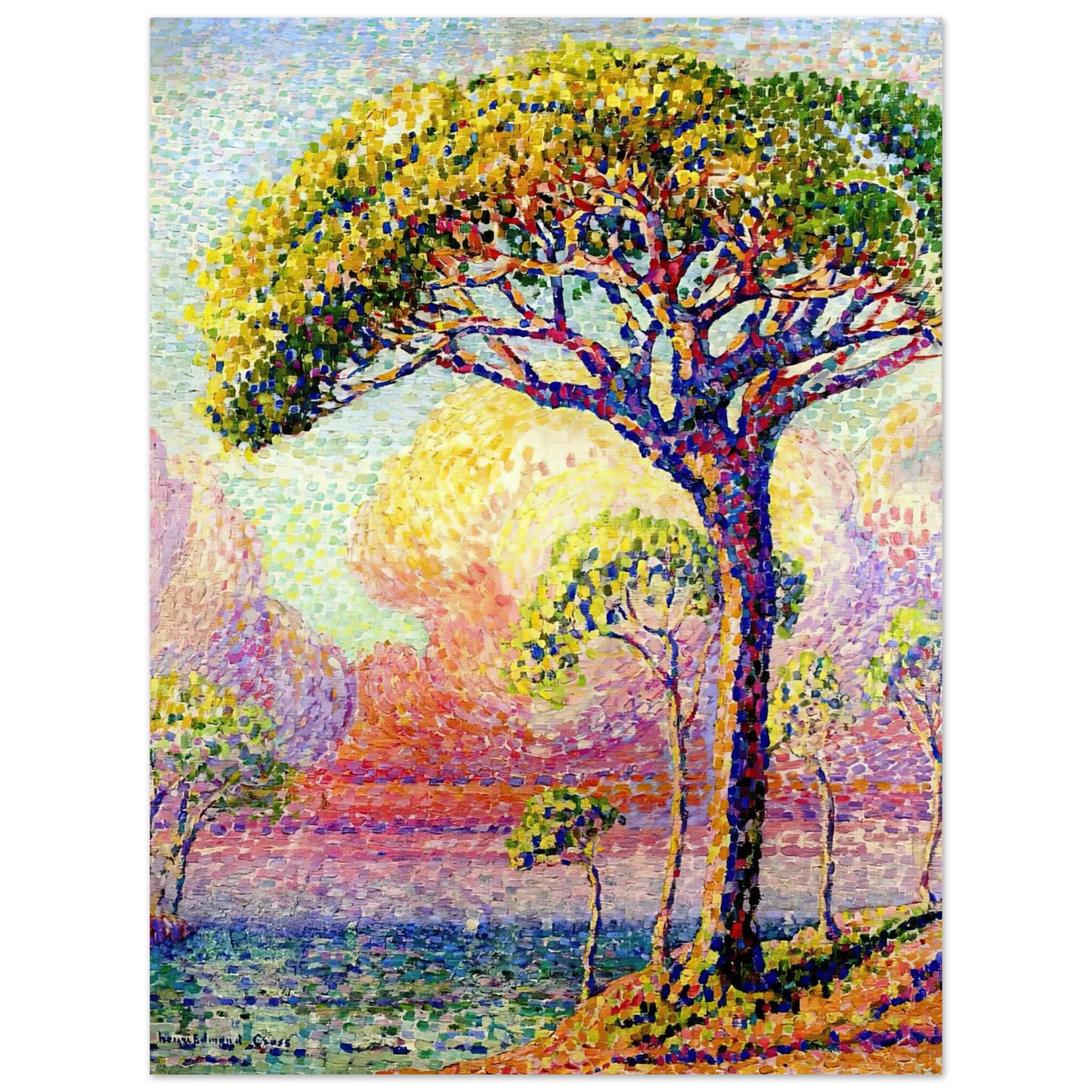 Henri-Edmond Cross - A Pine Tree  75x100 cm / 30x40inches Fine Art Poster