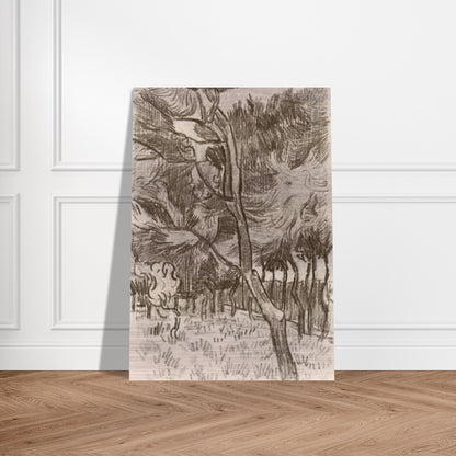 Pine Trees in the Garden of the Asylum - Vincent van Gogh Brushed Aluminum Print - 70x100 cm / 28x40 inches | Vincent van Gogh Aluminum Print | Vincent van Gogh Prints