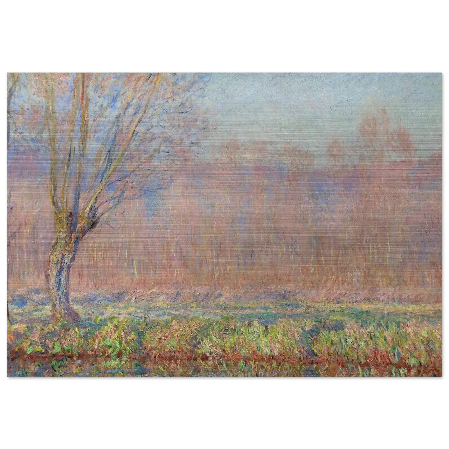 The Willows - claude monet Brushed Aluminum Print - 70x100 cm / 28x40 inches | claude monet Aluminum Print | claude monet Prints