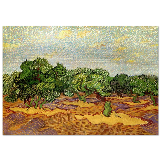 Olive Grove - Pale Blue Sky - Vincent van Gogh Brushed Aluminum Print - 70x100 cm / 28x40 inches | Vincent van Gogh Aluminum Print | Vincent van Gogh Prints