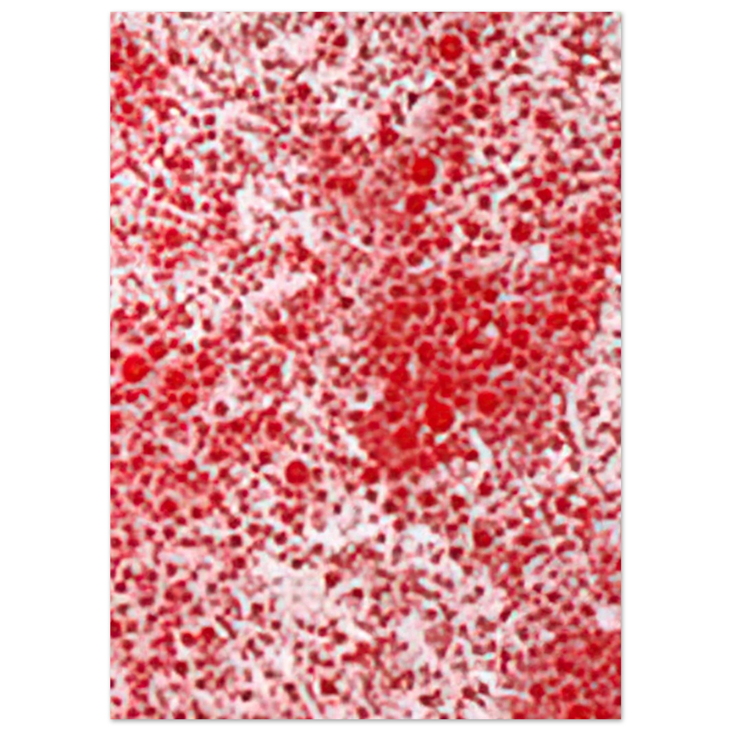 Yayoi Kusama - BEYOND THE END OF THE CENTURY 1987 Fine Art Poster