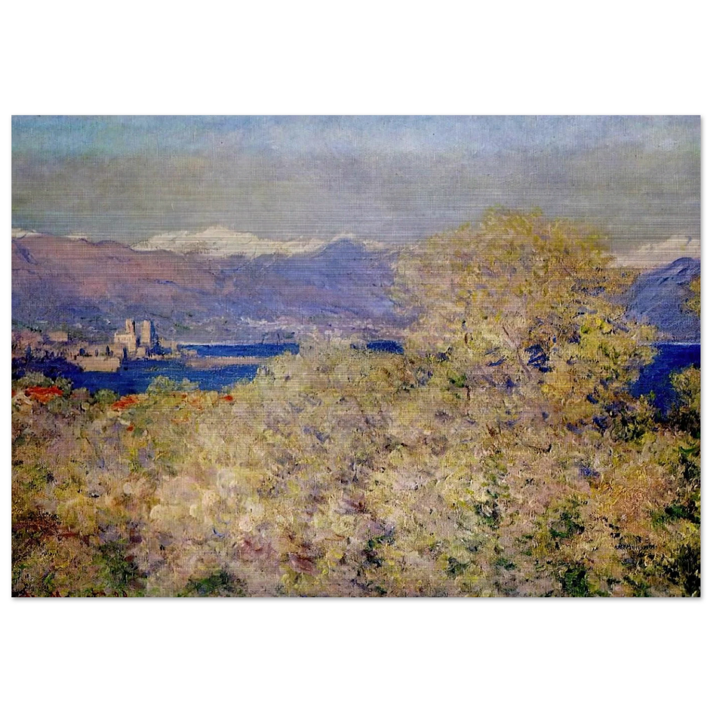 Antibes - View of the Salis Gardens - claude monet Brushed Aluminum Print - 70x100 cm / 28x40 inches | claude monet Aluminum Print | claude monet Prints
