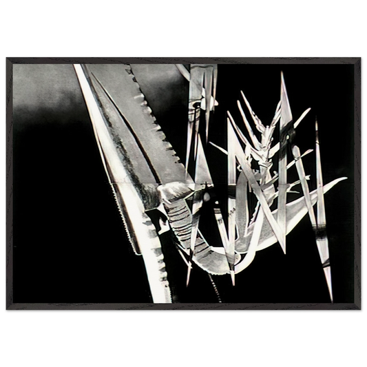 The Prickly Dark - James Rosenquist 70x100 cm / 28x40 inches Framed Art Print – Black Wooden Frame