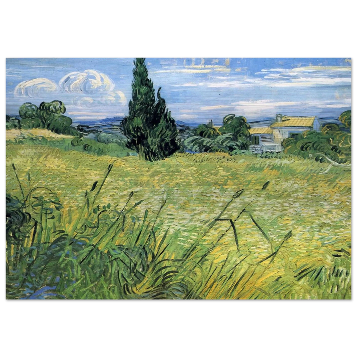 Green Wheat Field with Cypress - Vincent van Gogh Brushed Aluminum Print - 70x100 cm / 28x40 inches | Vincent van Gogh Aluminum Print | Vincent van Gogh Prints