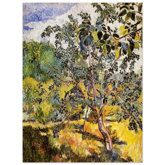 Natalia Goncharova - Corner of a garden Sun - Post-Impressionism  75x100 cm / 30x40inches Fine Art Poster