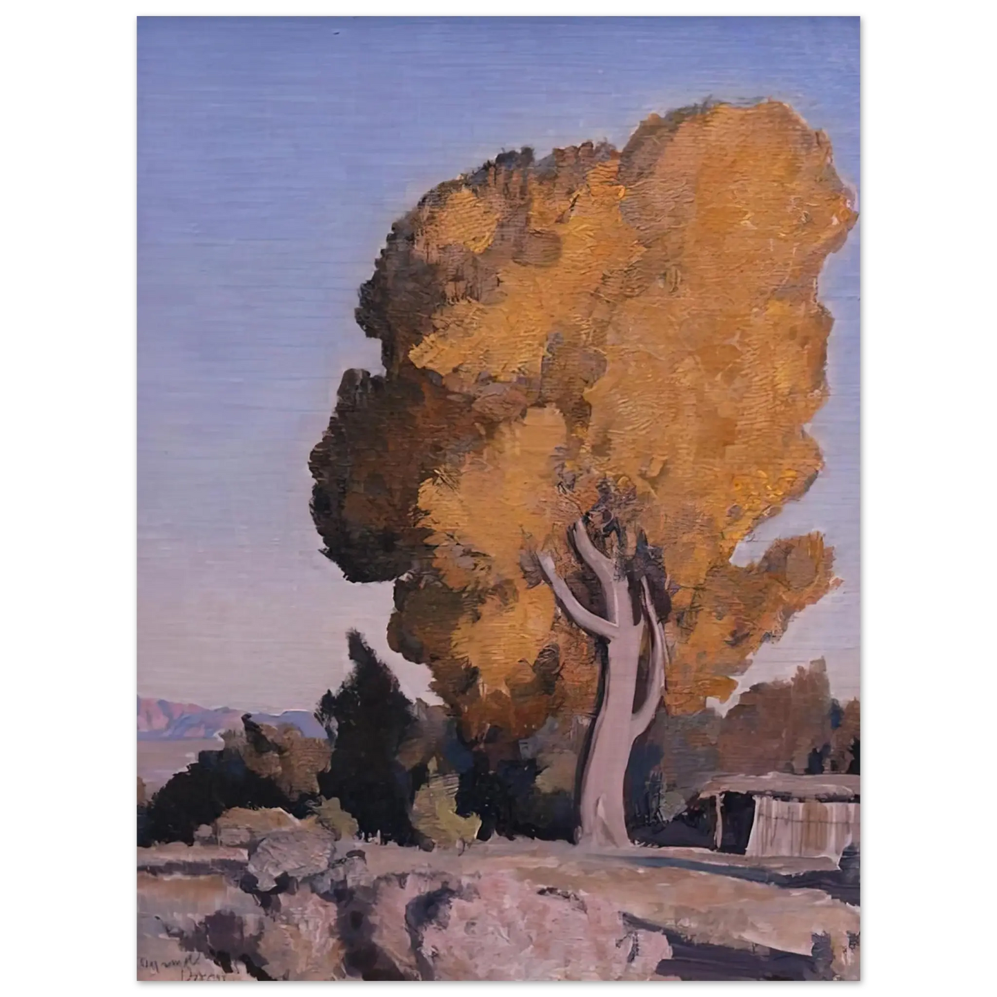 Maynard Dixon - LOW COUNTRY COTTONWOOD 1940 Wall art - 60x80 cm / 24x32 Inches - Premium Wooden Framed Poster With Fine Art Paper - White frame