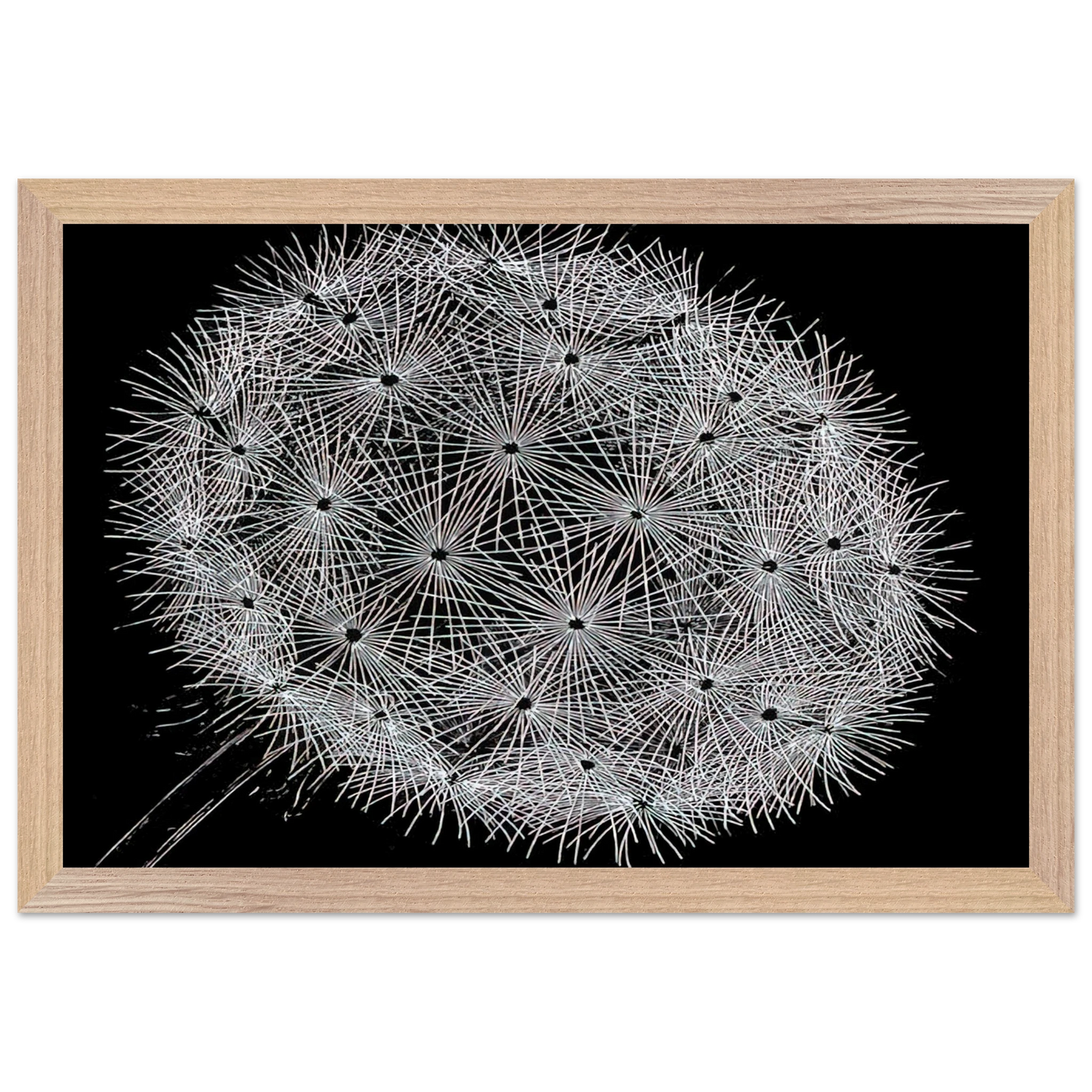 MC Escher - BLOWBALL II Wall Art - 60x80 cm / 24x32 inches - Fine Art Poster-canvas - -