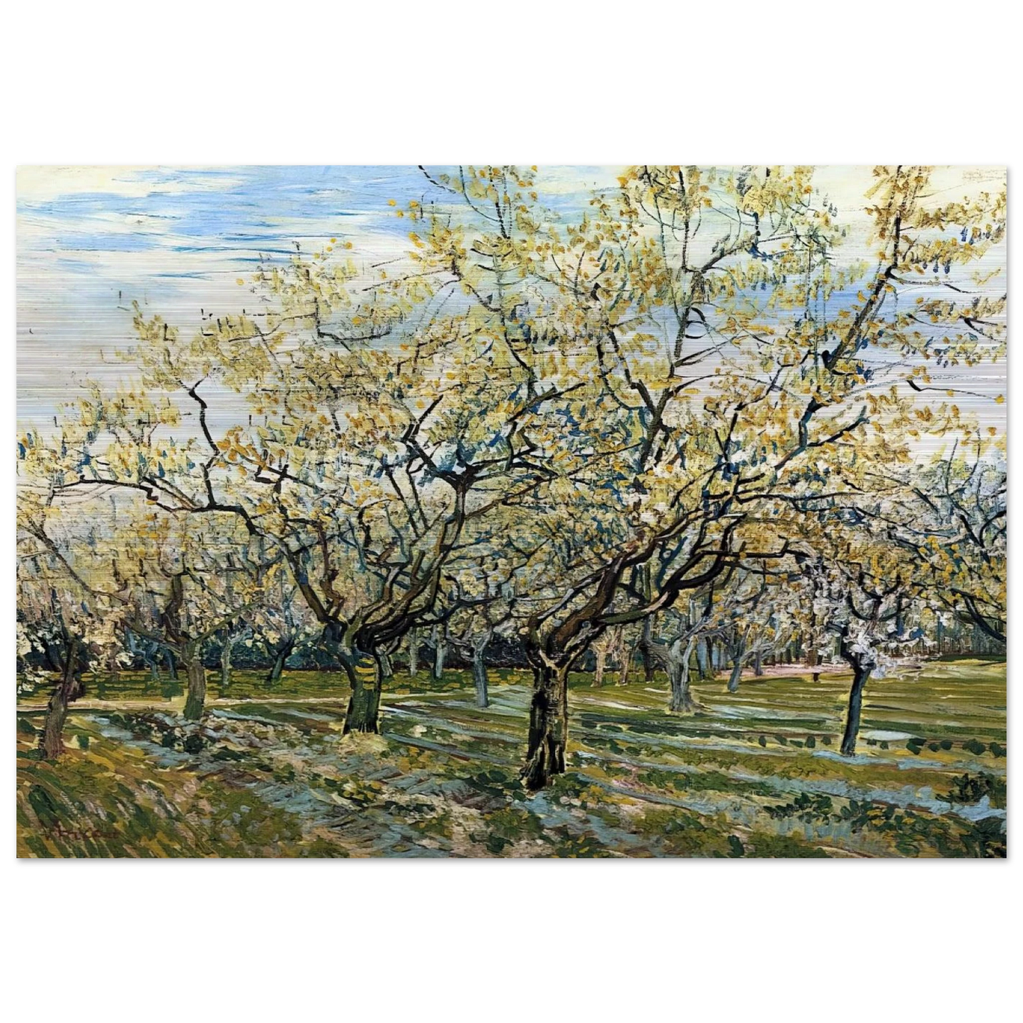 Orchard with Blossoming Plum Trees - Vincent van Gogh Brushed Aluminum Print - 70x100 cm / 28x40 inches | Vincent van Gogh Aluminum Print | Vincent van Gogh Prints