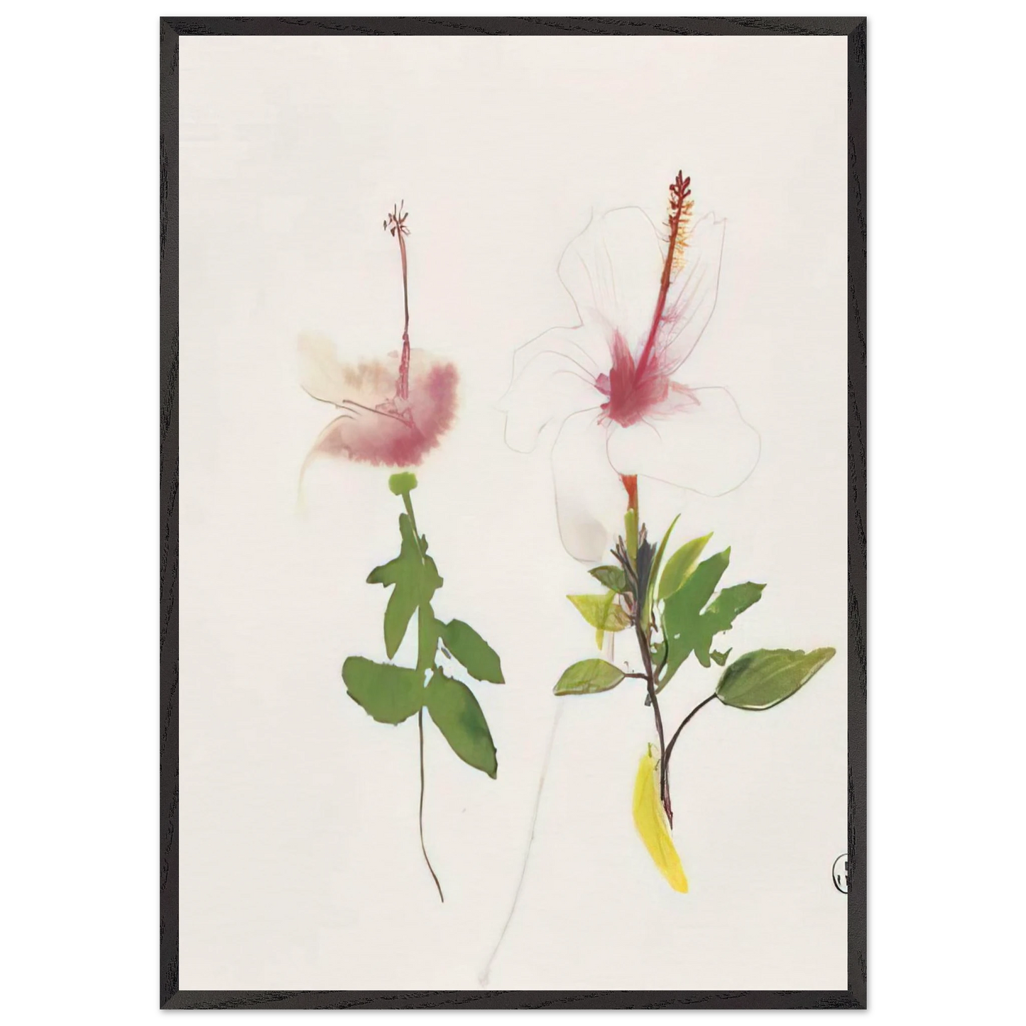 Hibiscus - 1987 - Brett Whiteley 70x100 cm / 28x40 inches Framed Art Print – Black Wooden Frame