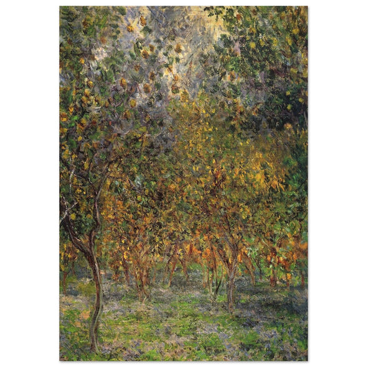 Under the Lemon Trees - claude monet Brushed Aluminum Print - 70x100 cm / 28x40 inches | claude monet Aluminum Print | claude monet Prints