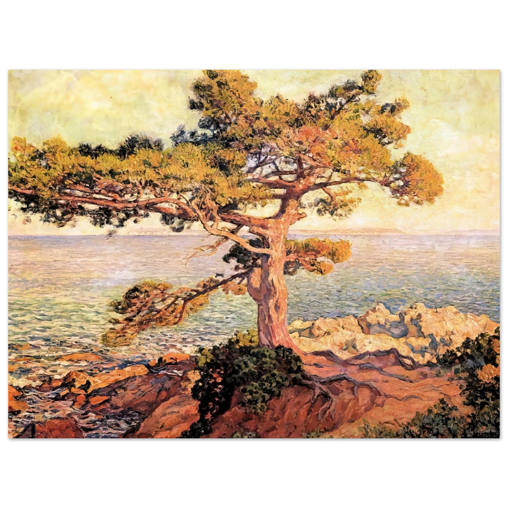 Theo van Rysselberghe - PINE BY THE MEDITERRANEAN SEA 1916  75x100 cm / 30x40inches Fine Art Poster
